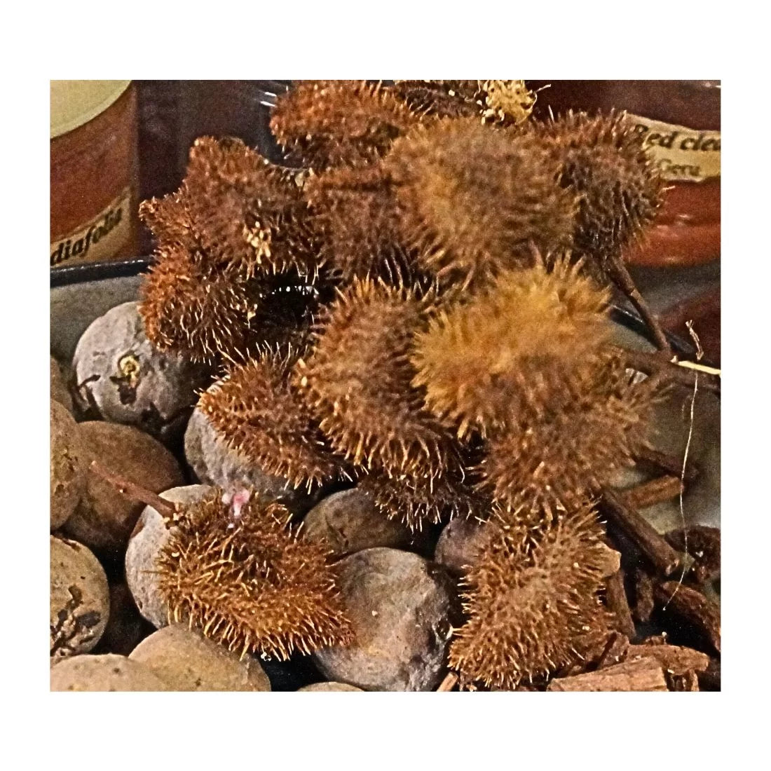 Annatto Dye Extract 100g | Natural Orange Dye for Textile | House of Swadeshi